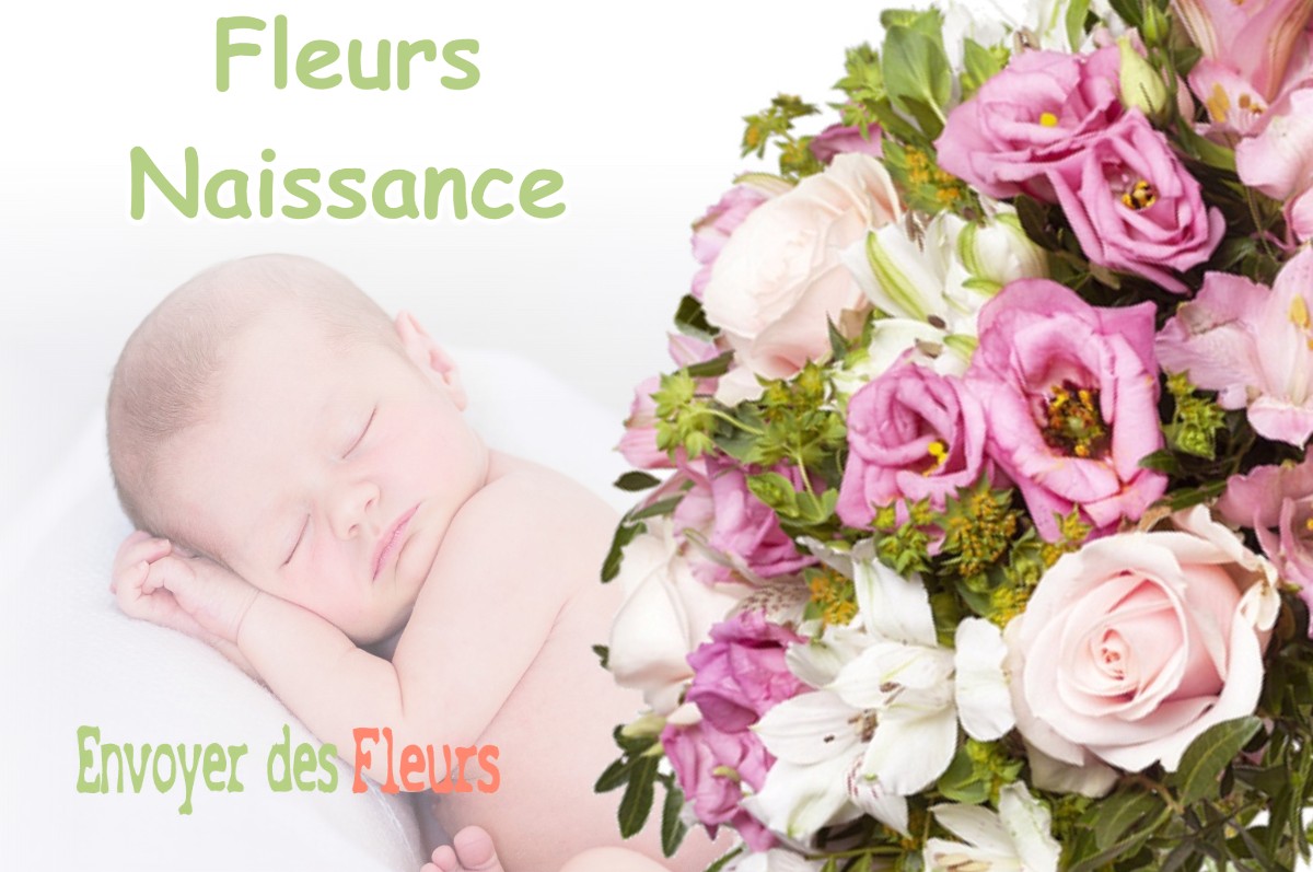 lIVRAISON FLEURS NAISSANCE à HEUDICOURT-SOUS-LES-COTES